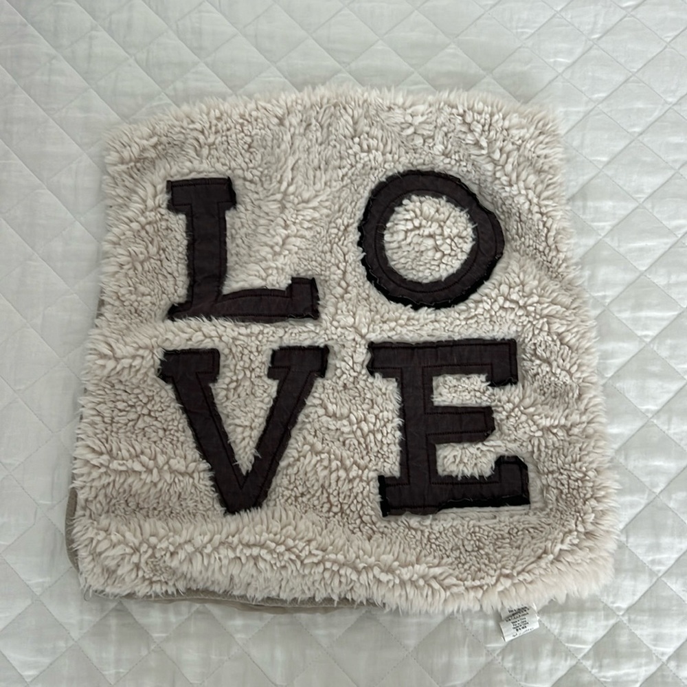 Pottery Barn Pillow Cover
